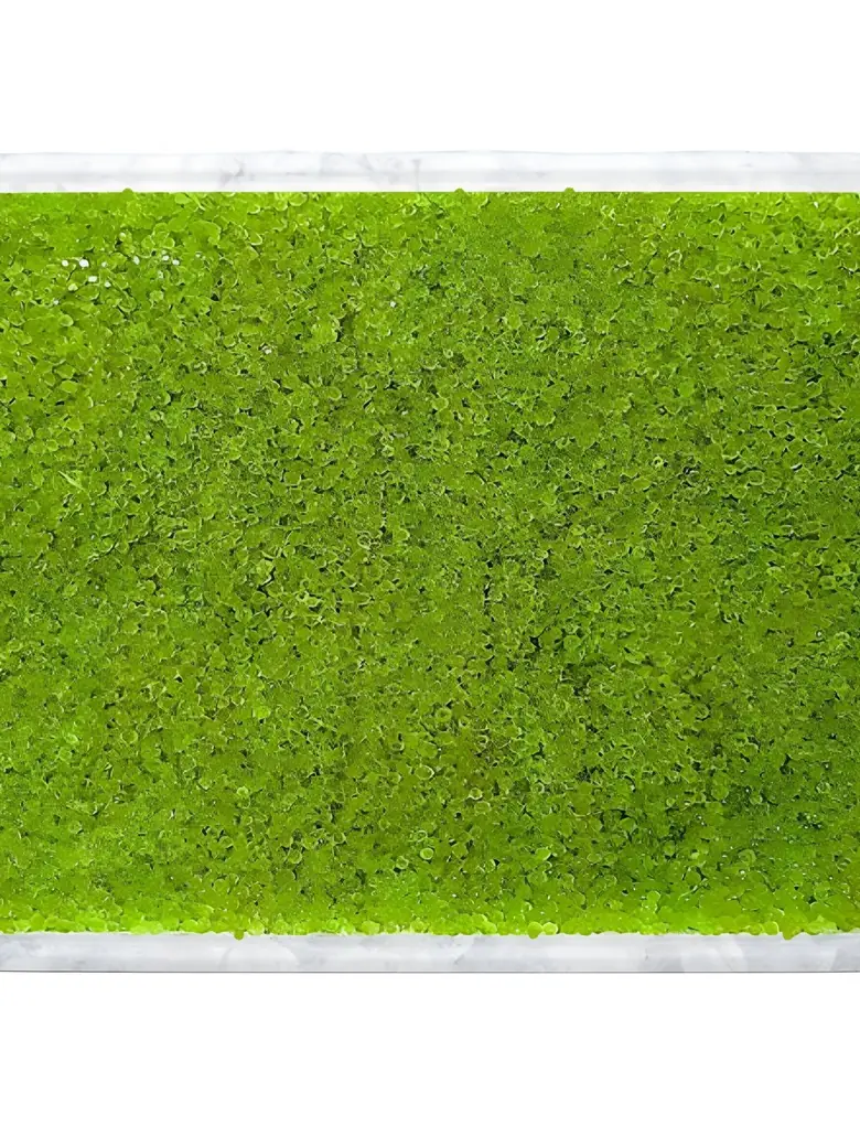 Green Tobikko Japanese — Frozen Seafood