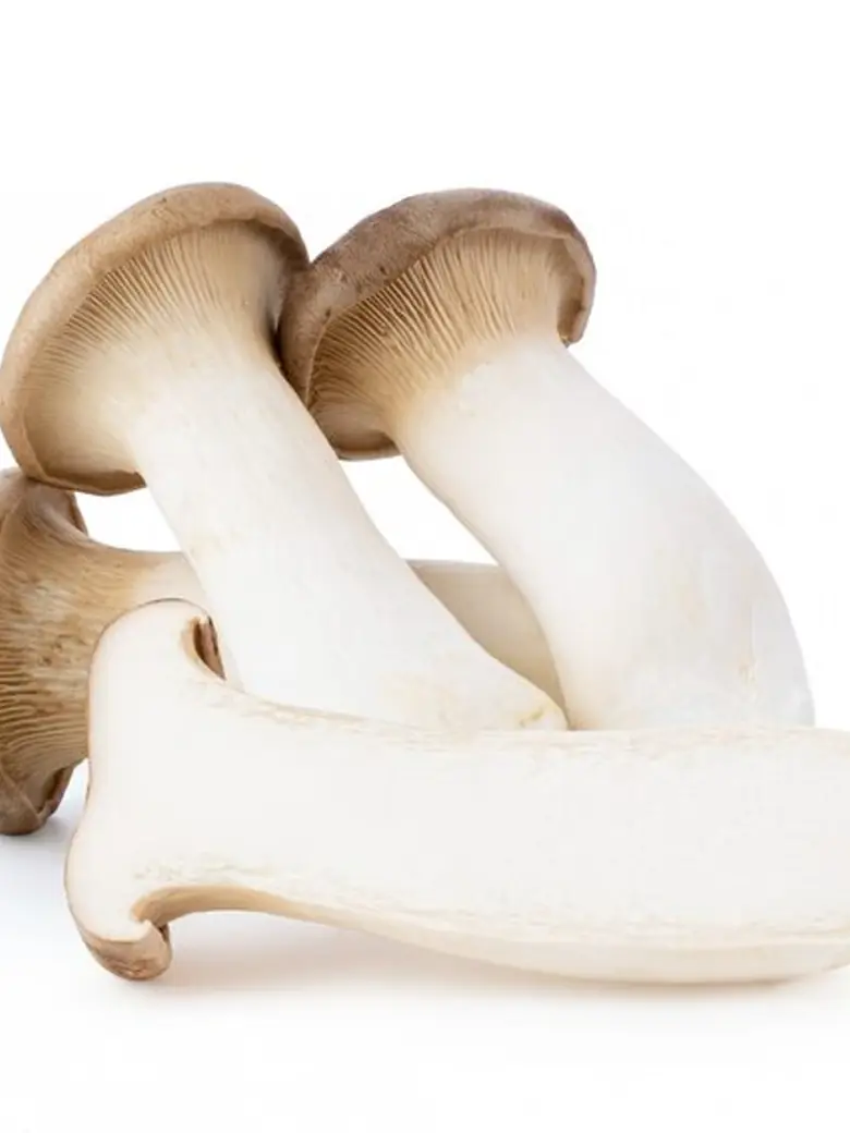 King Ceps Oyster Mushroom — Fresh Produce