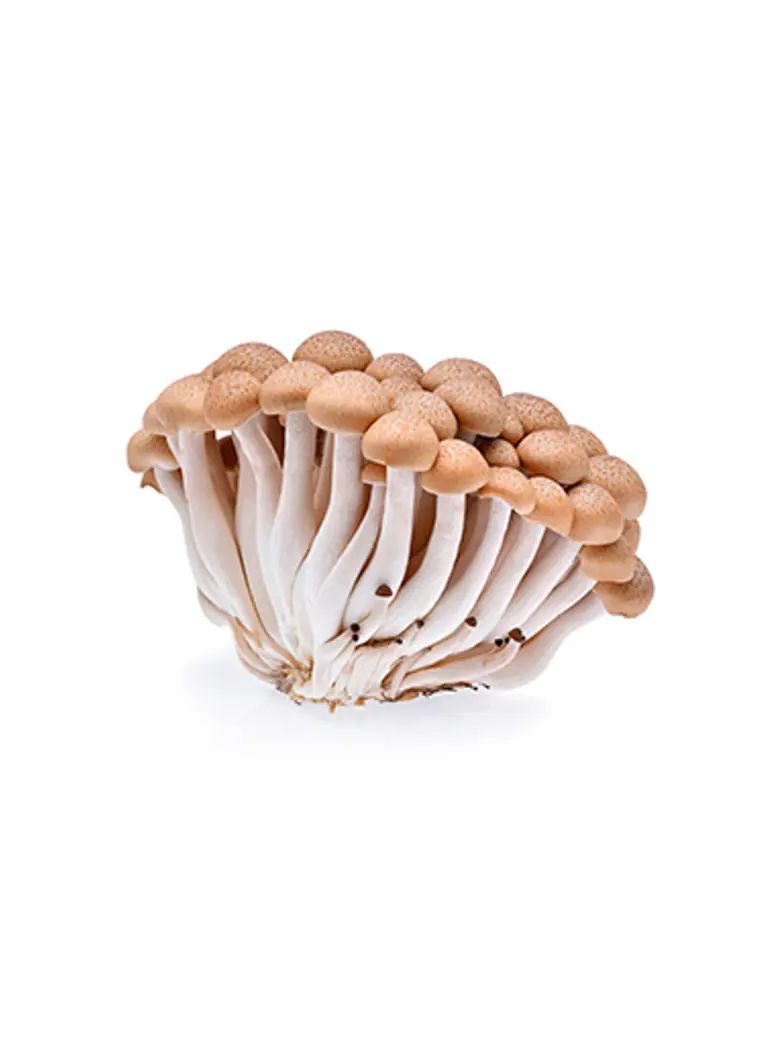Shimeji Brown Mushroom — Fresh Produce