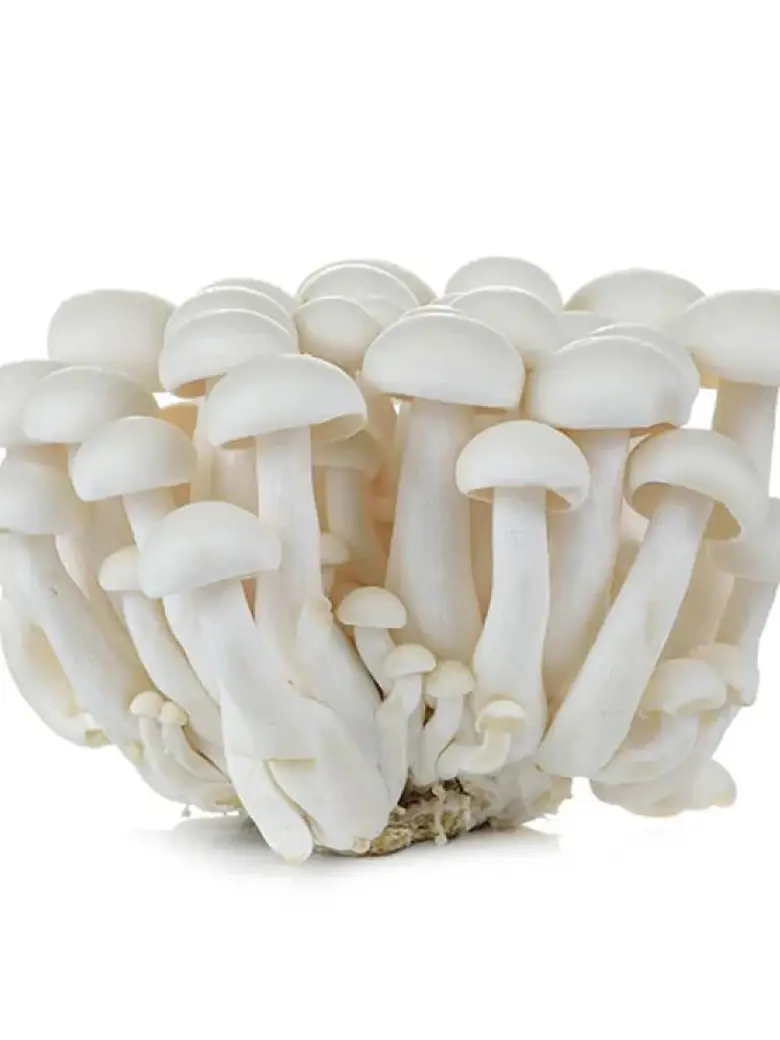 Shimeji White Mushroom — Fresh Produce